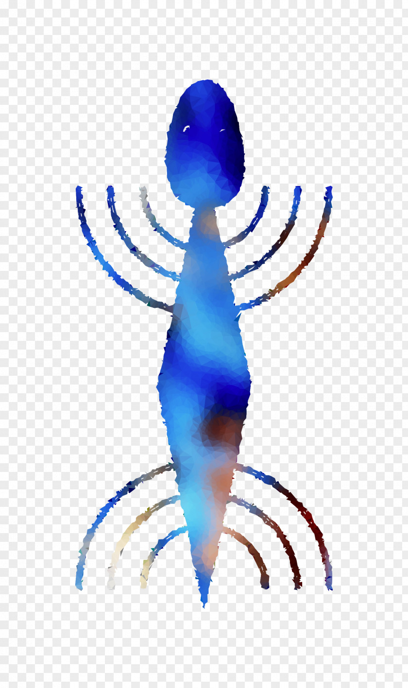 Insect Clip Art Cobalt Blue Line PNG