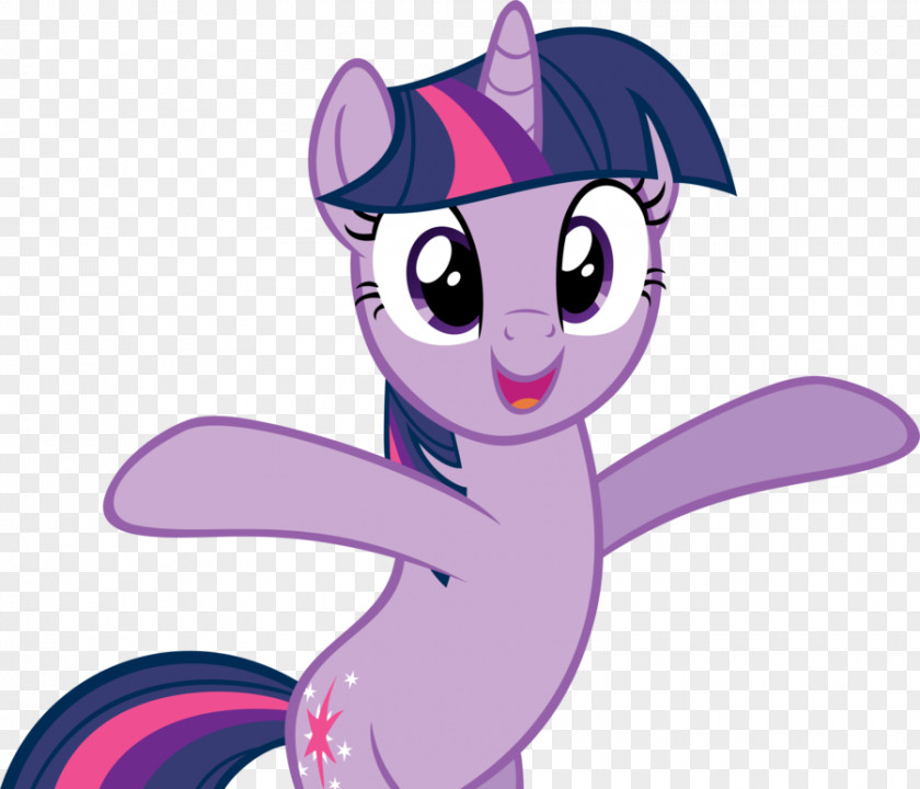 My Little Pony Rarity Pinkie Pie Team Fortress 2 Derpy Hooves PNG