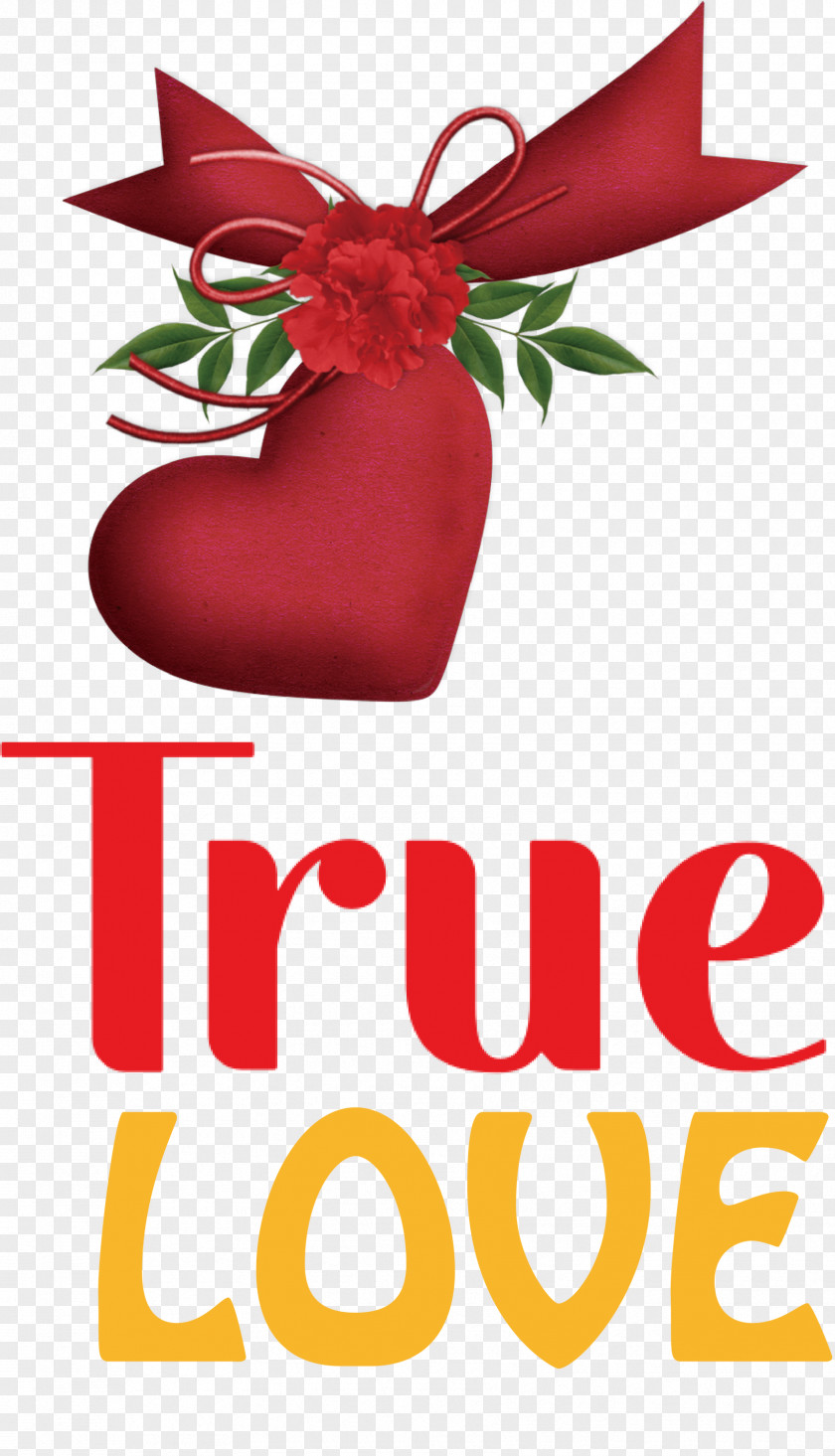 True Love Valentines Day PNG