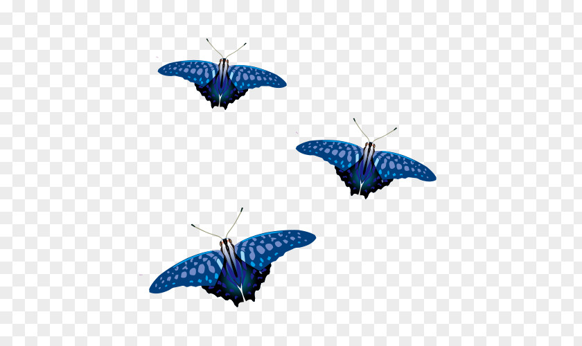 Vector Blue Butterfly Euclidean PNG