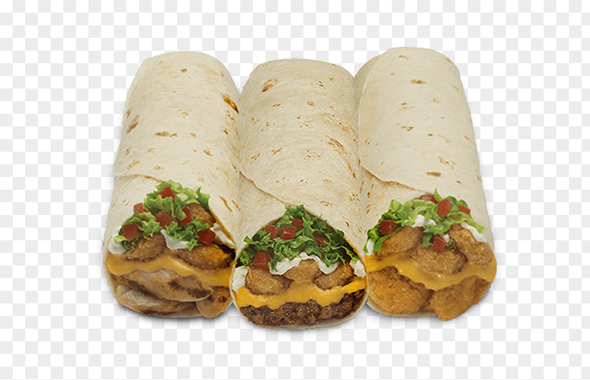 Chicken Wrap Burrito Taco Crispy Fried PNG