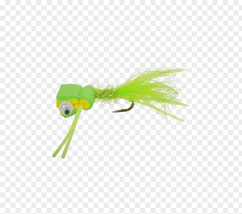 Flies Chartreuse Green Yellow Mad Scientist PNG