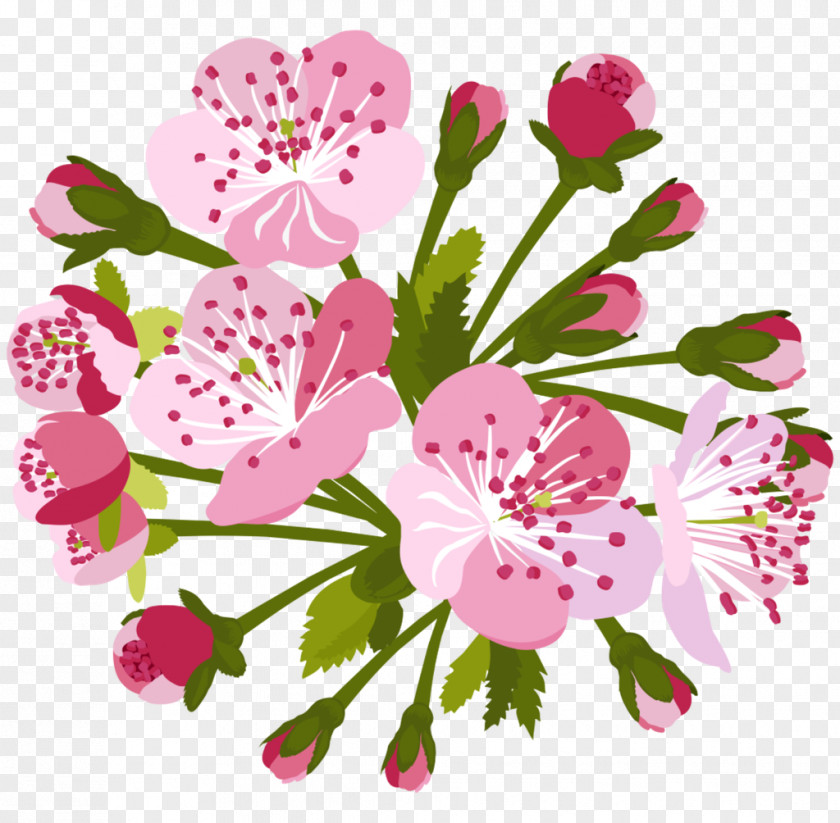 Floral Design Geranium Cherry Blossom Background PNG