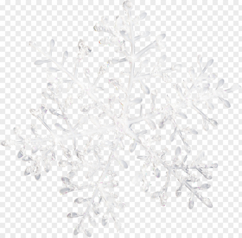 Plant Twig Snowflake Background PNG