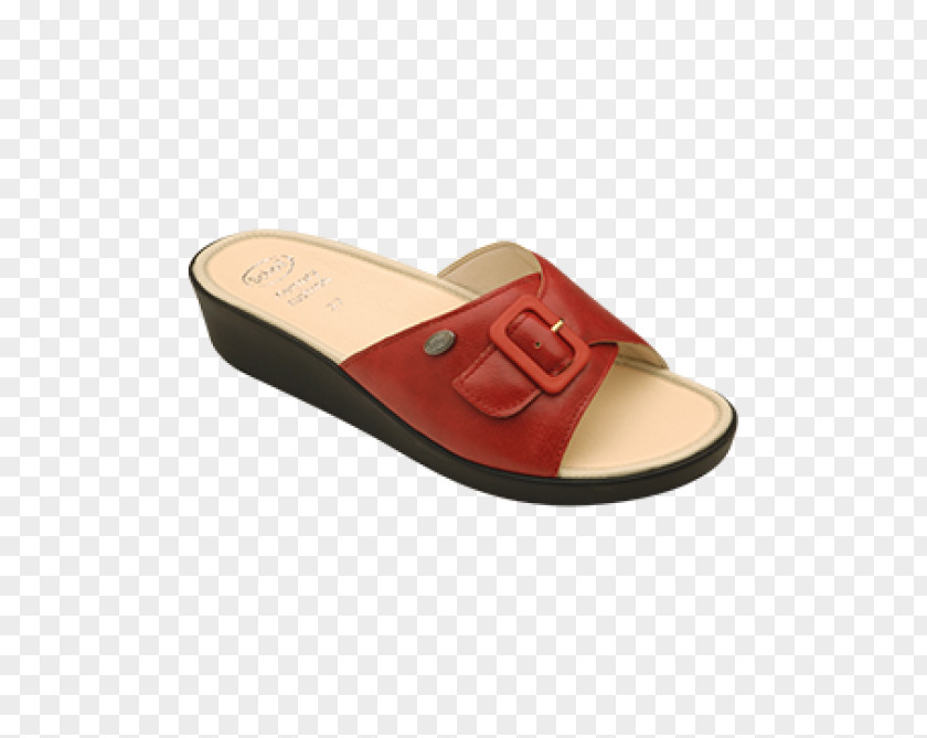Sandal Slipper Shoe Dr. Scholl's Mango PNG