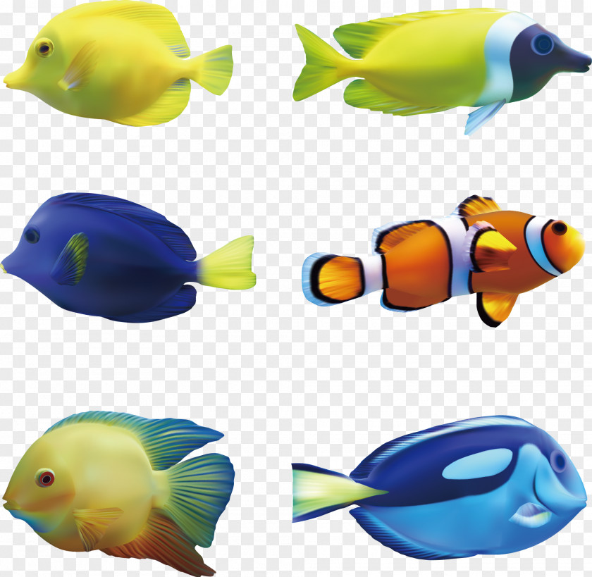 Sightseeing Seabed Fish PNG