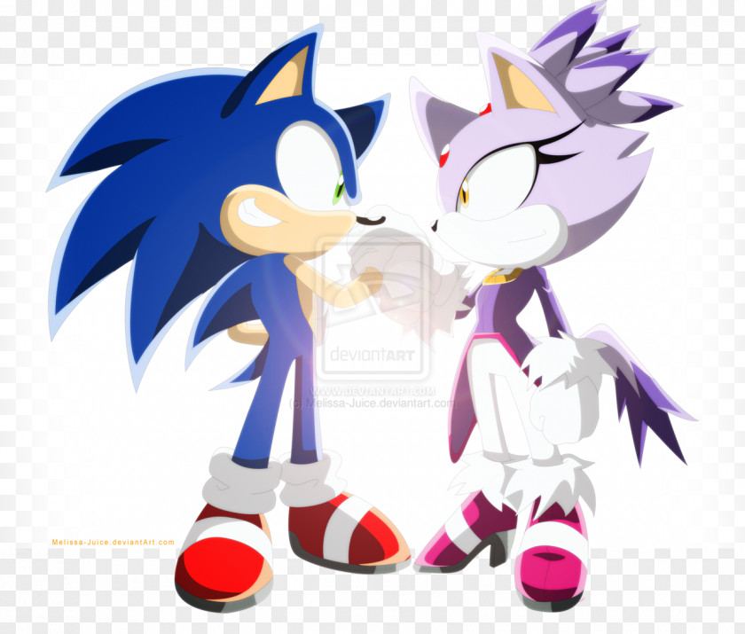 Blaze Shadow The Hedgehog Big Cat Amy Rose Doctor Eggman Rouge Bat PNG