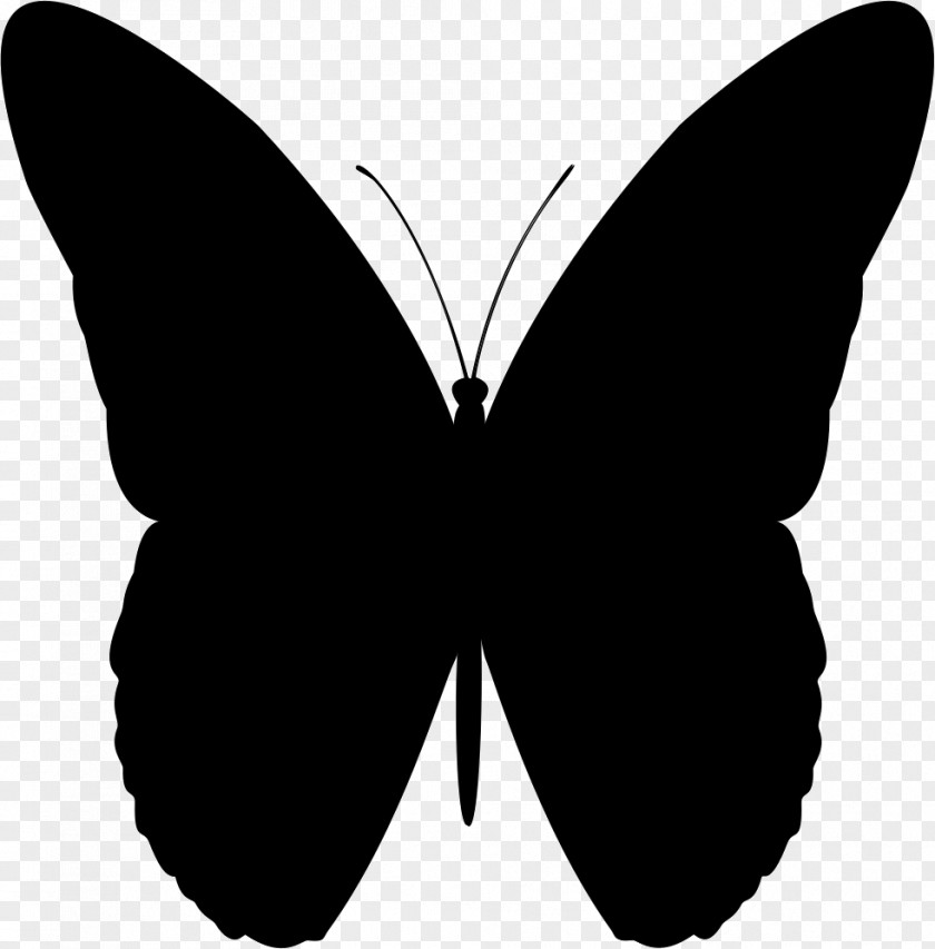 Butterfly Royalty-free Clip Art PNG