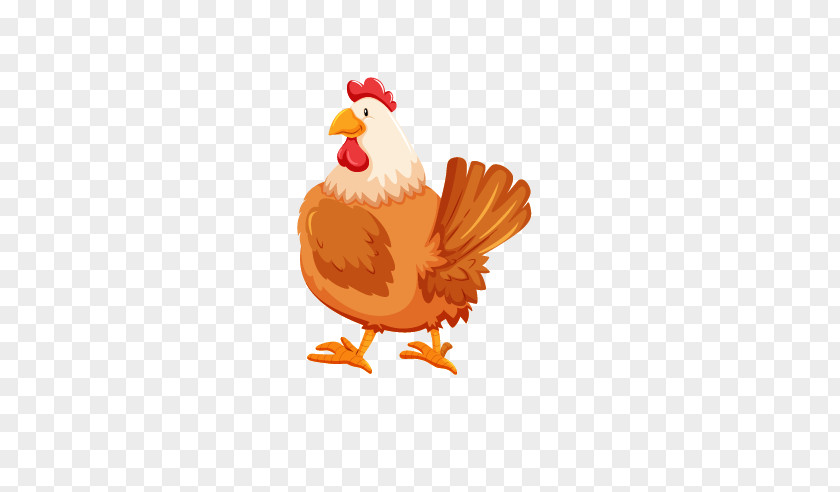 Chicken Rooster Cartoon PNG