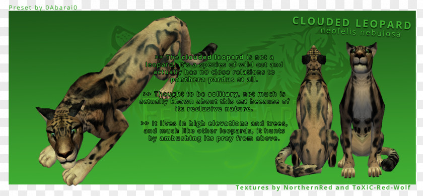 Clouded Leopard Giraffe Felidae Art PNG