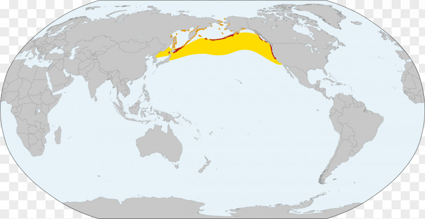 Globe World Map Royalty-free PNG