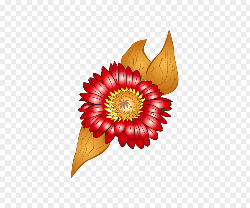 Vector Chrysanthemum PNG