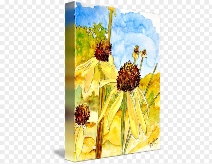 Watercolor Painting Yellow Coneflower Art PNG