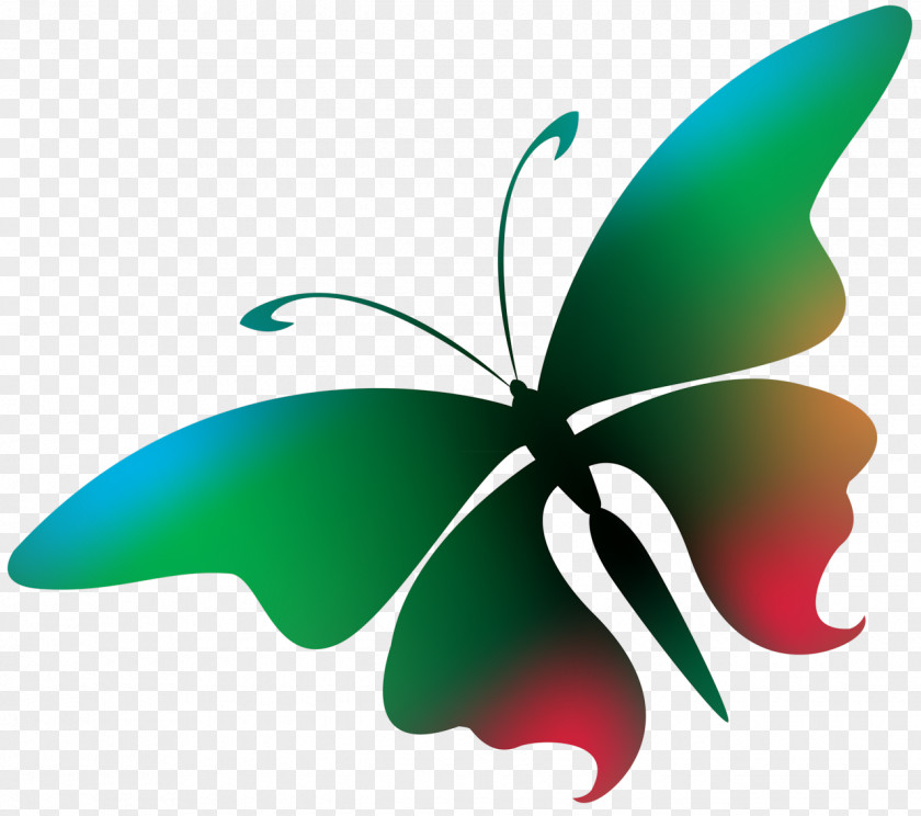 Butterflies Float Butterfly Photography PNG