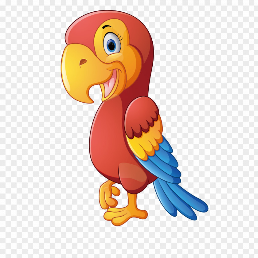Colorful Parrot PNG
