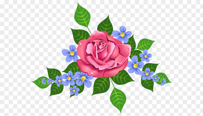 Flower Garden Roses Paper Floral Design Cabbage Rose Clip Art PNG