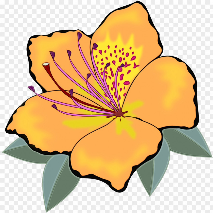 Hibiscus Leaf Flowering Plant Petal Flower Yellow Clip Art PNG