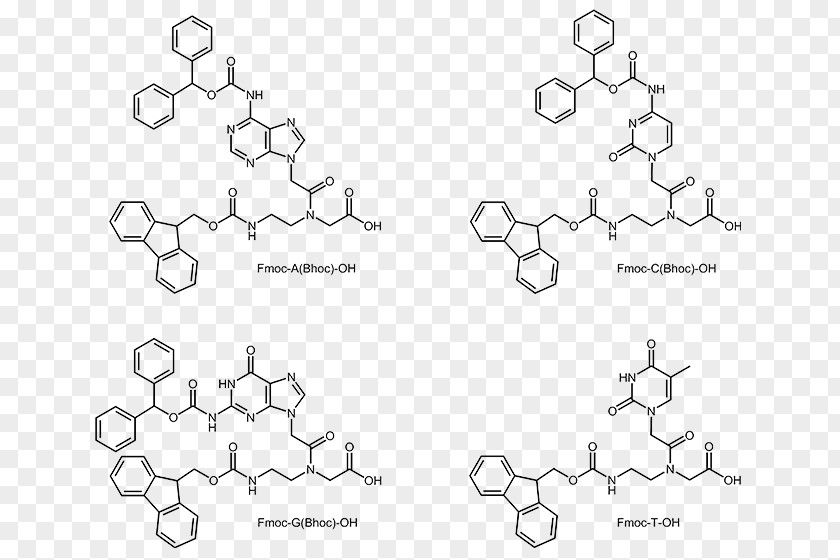 Nucleic Acid Metabolism Peptide Oligonucleotide Oligomer A-DNA PNG
