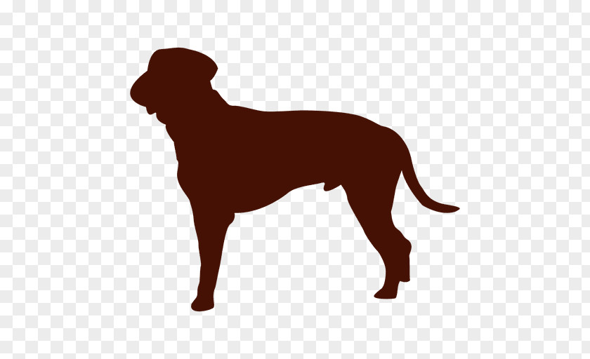 Puppy Dog Breed Companion Sporting Group PNG