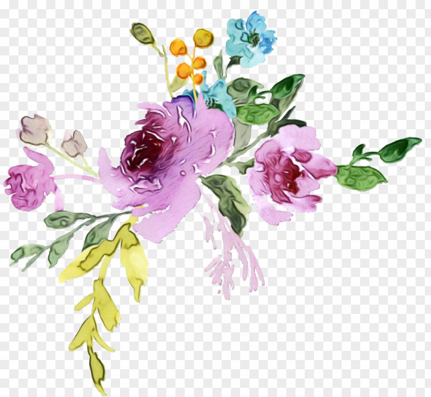Rose Family Rosa Dumalis Watercolor Flower Background PNG