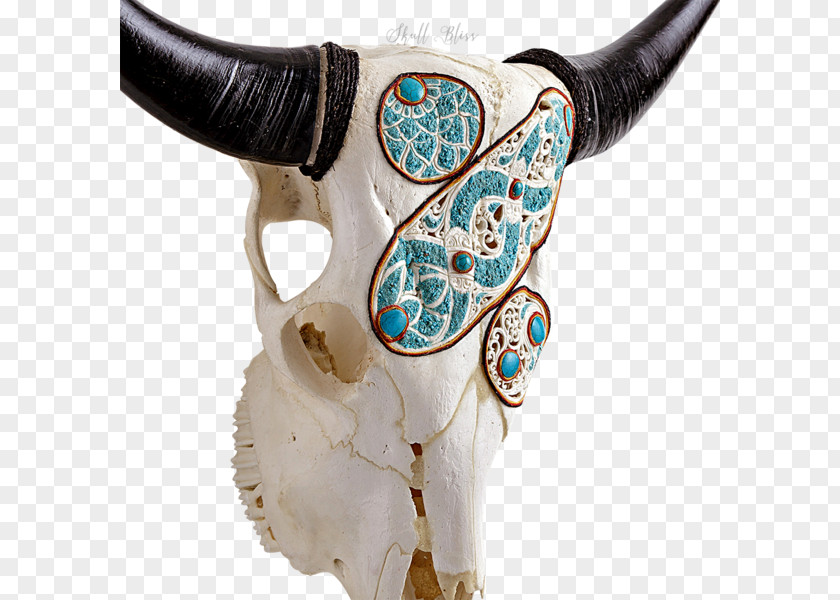 Skull Cattle Turquoise XL Horns PNG