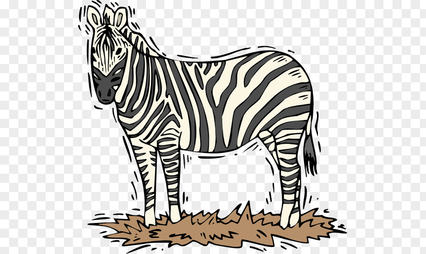 Tiger Zebra Clip Art PNG
