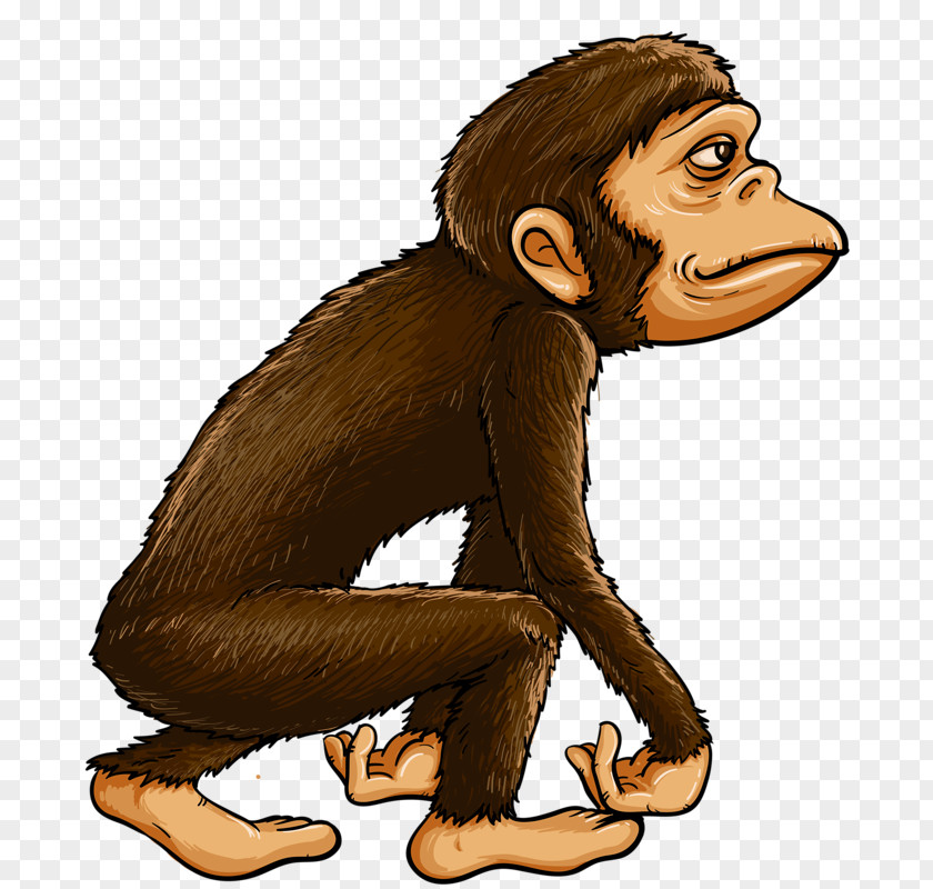 Brown Monkey Royalty-free Stock Photography Illustration PNG