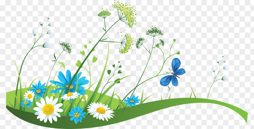Flower Meadow Banner Spring Illustration PNG