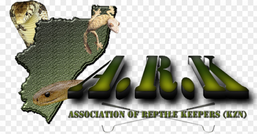 Mammal Brand Animated Cartoon Font PNG