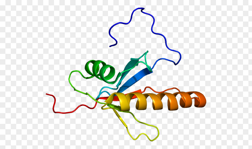 MAP2K5 Protein MAP3K2 Kinase SH2D2A PNG