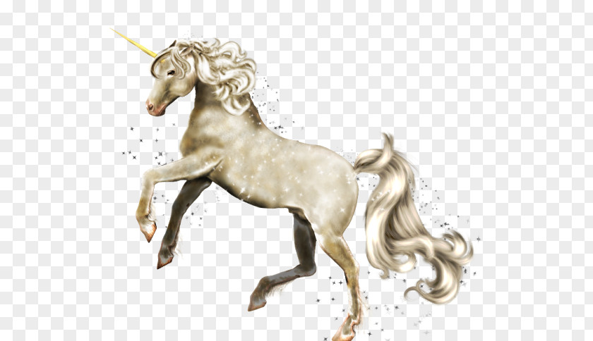 Unicorn Fabeltiere Legendary Creature Horse Pegasus PNG