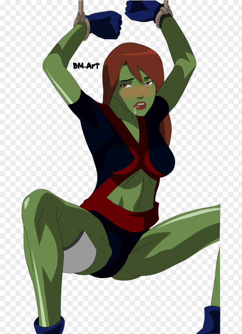 Beast Boy Miss Martian Young Justice Superboy Artemis Crock PNG