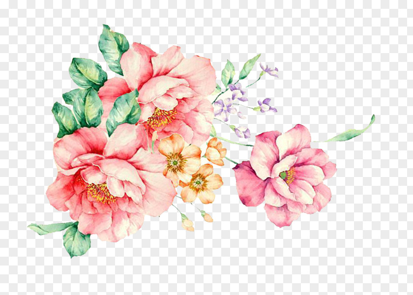 Flowers For Floral Design Cut Flower Bouquet PNG