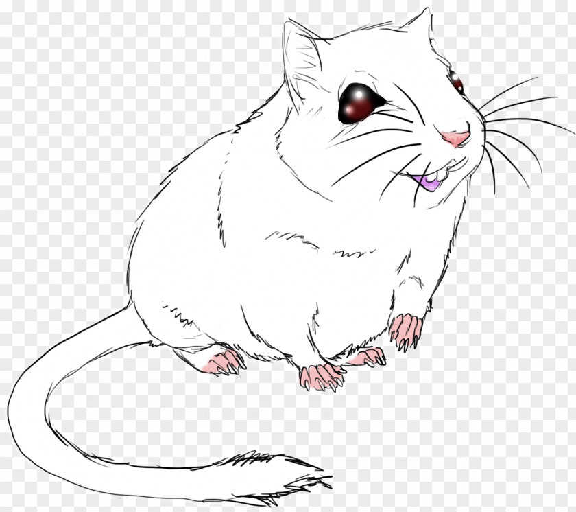 Mouse Whiskers Cat Drawing Clip Art PNG