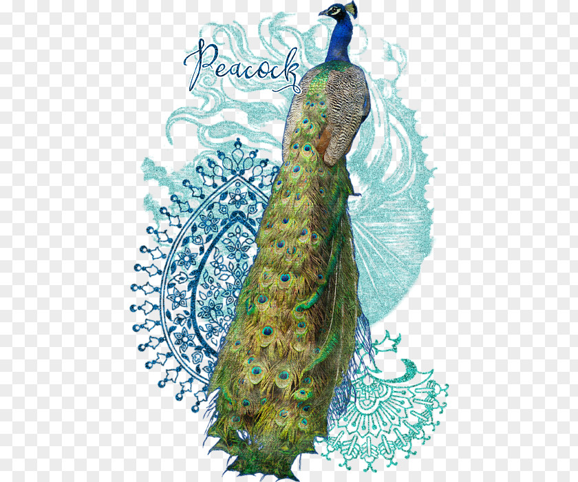 Pasley Pavo Costume Design Feather Tail PNG