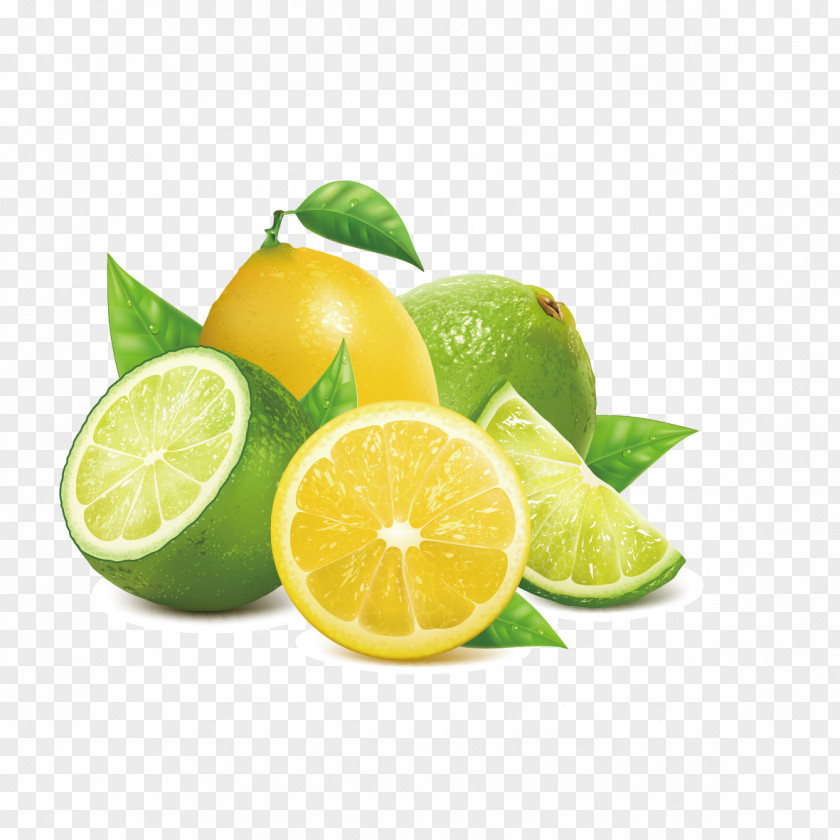 Vector Lime And Yellow Lemon Key PNG
