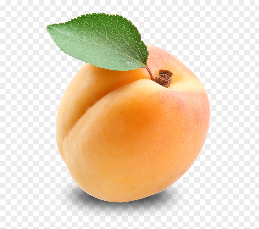 Apricot Free Download Fruit PNG