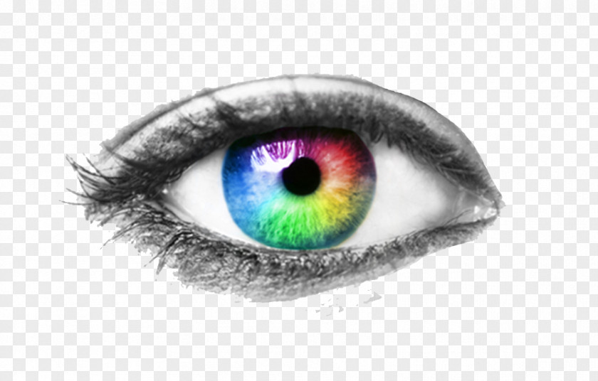 Eye Human Examination Visual Perception PNG