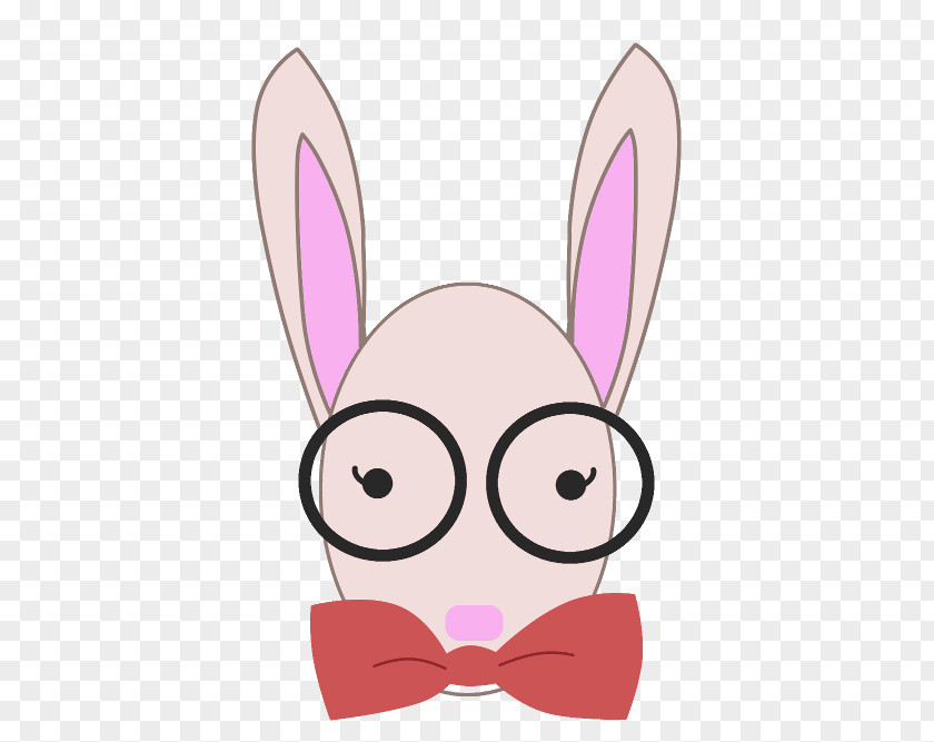 Rabbit Domestic Easter Bunny Whiskers Eye PNG