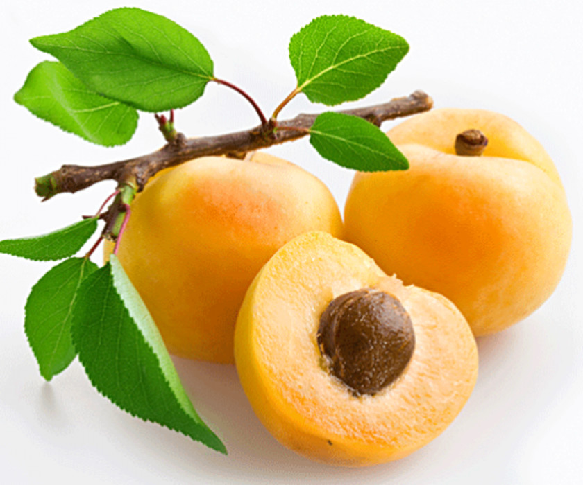 Apricot Oil Fruit Kernel Plum Blossom PNG