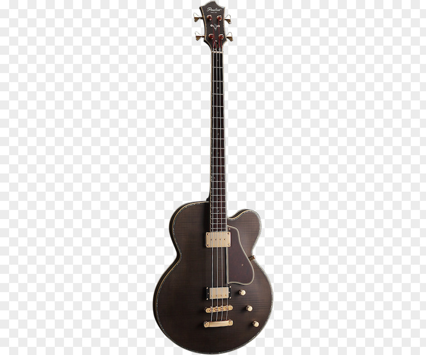 Bass Guitar Acoustic Ovation Company PNG