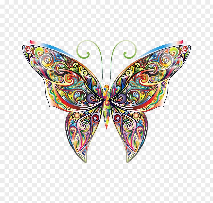 Colorful Butterfly Coloring Book Decal Illustration PNG