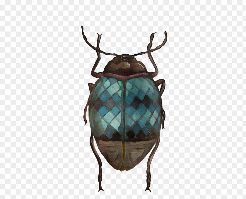 Deer Scarabs True Bugs Antler Turquoise PNG