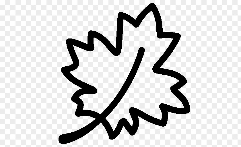 Plant Maple Leaf PNG