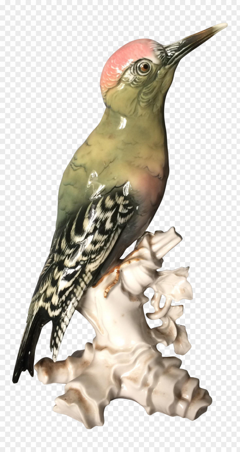 Zebra Bird Figurines Mexico Woodpecker Hummingbird Porcelain Figurine PNG