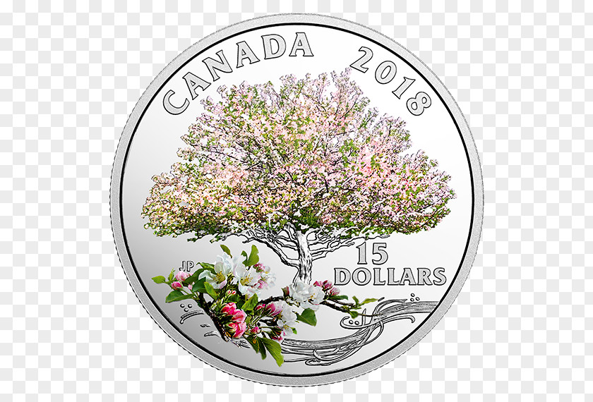 Apple Mint Canada Silver Coin Royal Canadian PNG