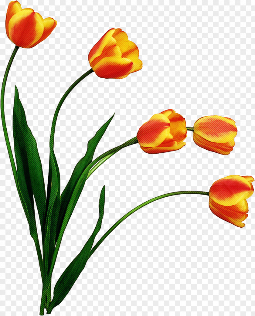 Artificial Flower PNG