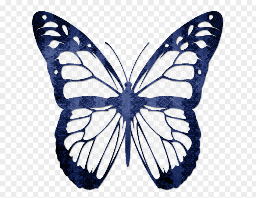 Blue Butterfly TP Legal Ltd Solicitors Kleurplaat Butterflies And Moths Animation Child PNG
