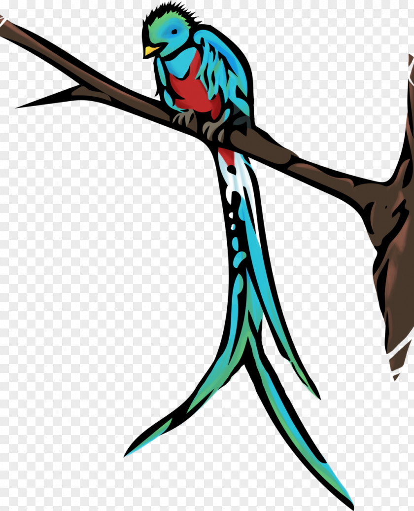 Cute Quetzal Cliparts Guatemala Bird Resplendent Clip Art PNG