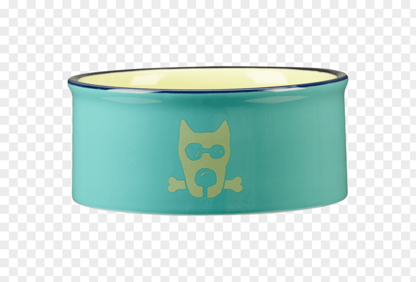 Design Bowl Turquoise PNG